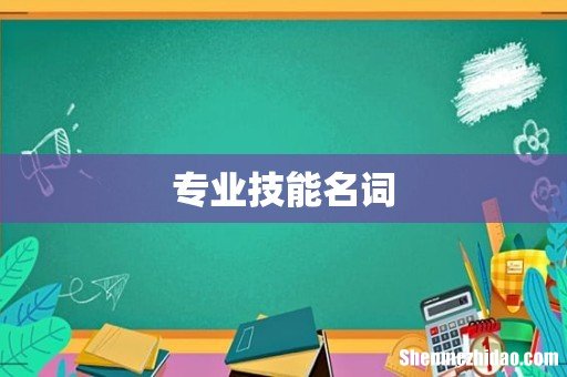 专业技能名词