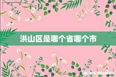 洪山区是哪个省哪个市