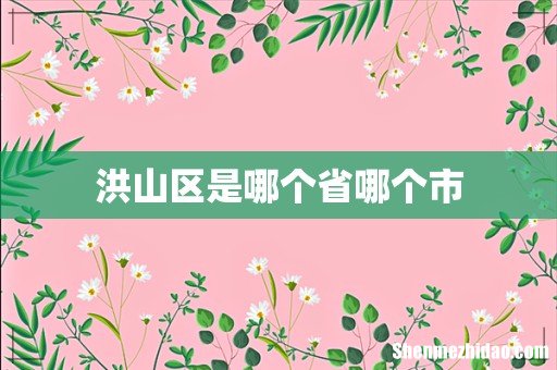 洪山区是哪个省哪个市