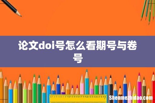 论文doi号怎么看期号与卷号