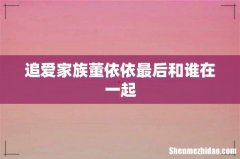 追爱家族董依依最后和谁在一起