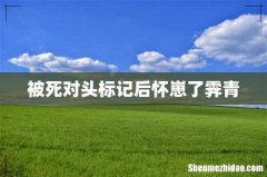 被死对头标记后怀崽了霁青