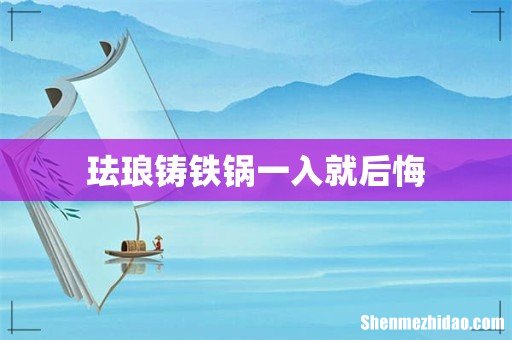 珐琅铸铁锅一入就后悔