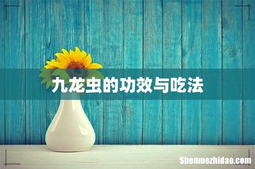 九龙虫的功效与吃法