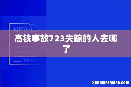 高铁事故723失踪的人去哪了