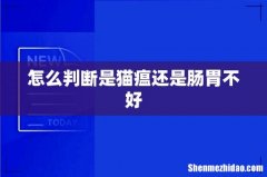 怎么判断是猫瘟还是肠胃不好