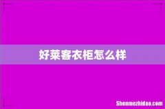 好莱客衣柜怎么样
