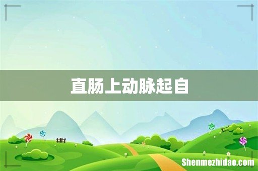 直肠上动脉起自