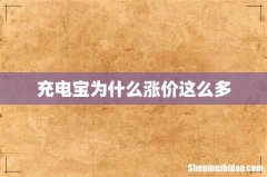 充电宝为什么涨价这么多