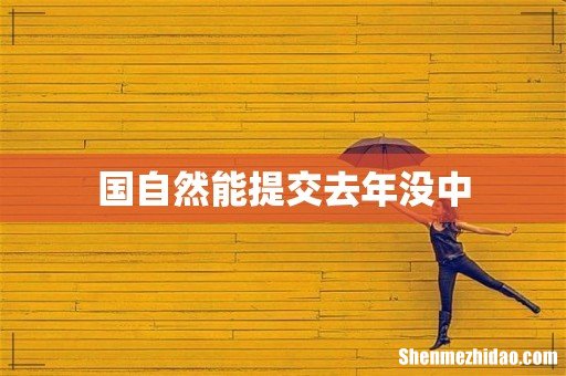 国自然能提交去年没中