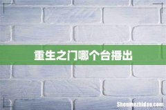 重生之门哪个台播出