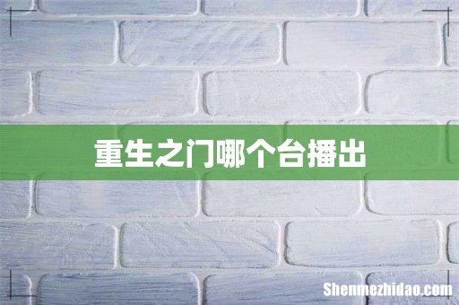重生之门哪个台播出