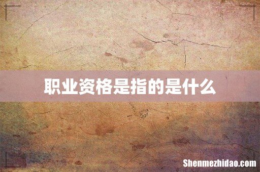 职业资格是指的是什么