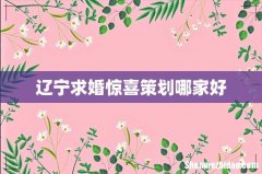 辽宁求婚惊喜策划哪家好