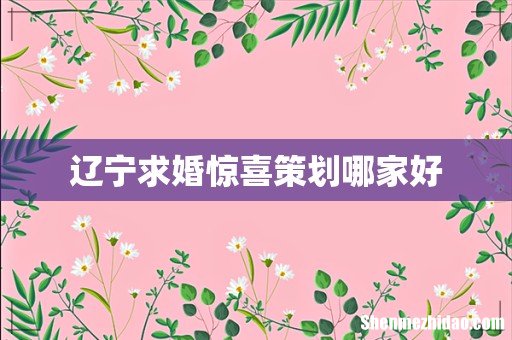辽宁求婚惊喜策划哪家好