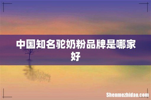 中国知名驼奶粉品牌是哪家好