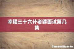幸福三十六计老婆面试第几集