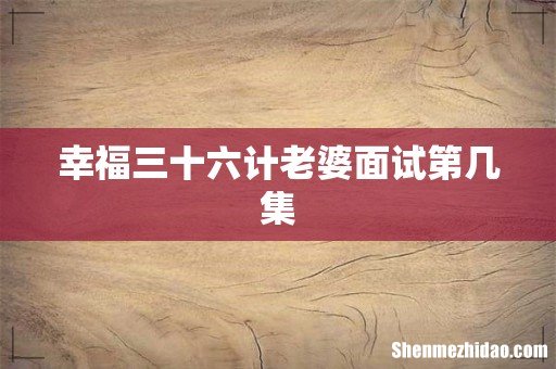 幸福三十六计老婆面试第几集