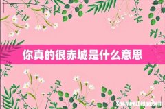 你真的很赤城是什么意思