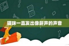 猫咪一直发出像鼾声的声音