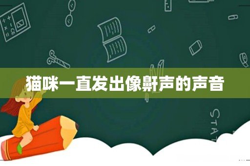 猫咪一直发出像鼾声的声音