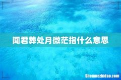 闻君葬处月微茫指什么意思