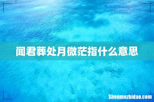 闻君葬处月微茫指什么意思