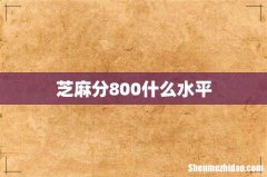 芝麻分800什么水平