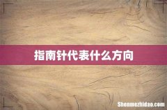 指南针代表什么方向