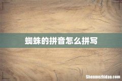蜘蛛的拼音怎么拼写