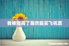 我被限高了居然能买飞机票