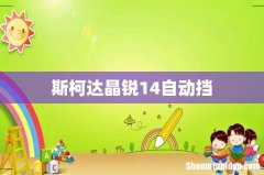斯柯达晶锐14自动挡