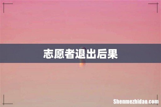 志愿者退出后果