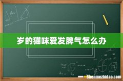 岁的猫咪爱发脾气怎么办