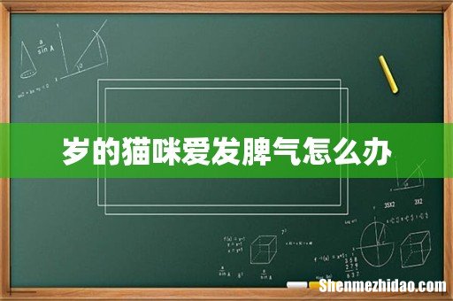 岁的猫咪爱发脾气怎么办