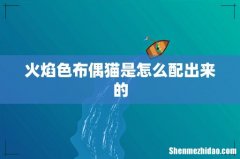 火焰色布偶猫是怎么配出来的
