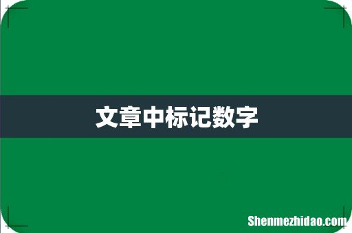 文章中标记数字