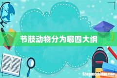 节肢动物分为哪四大纲