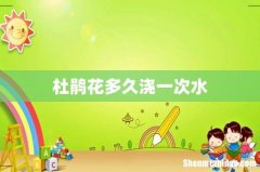 杜鹃花多久浇一次水