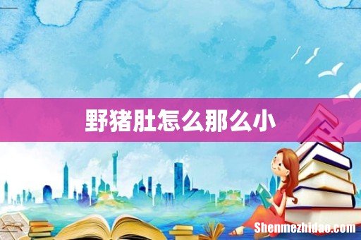 野猪肚怎么那么小