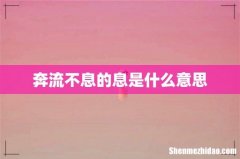 奔流不息的息是什么意思