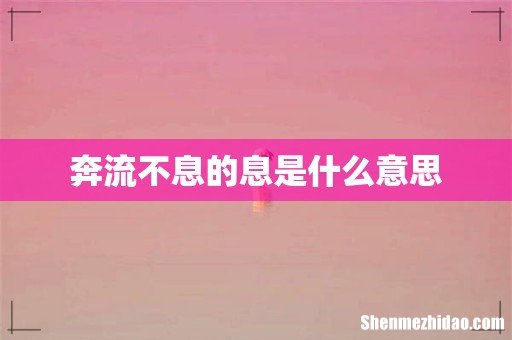 奔流不息的息是什么意思