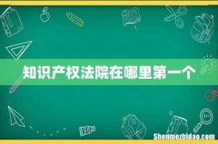 知识产权法院在哪里第一个