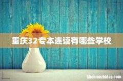 重庆32专本连读有哪些学校