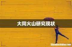 大同火山研究现状