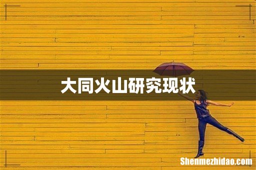 大同火山研究现状