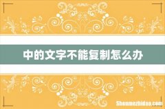中的文字不能复制怎么办