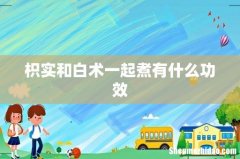 枳实和白术一起煮有什么功效