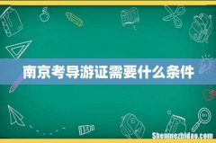 南京考导游证需要什么条件
