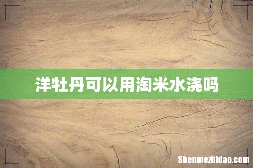 洋牡丹可以用淘米水浇吗